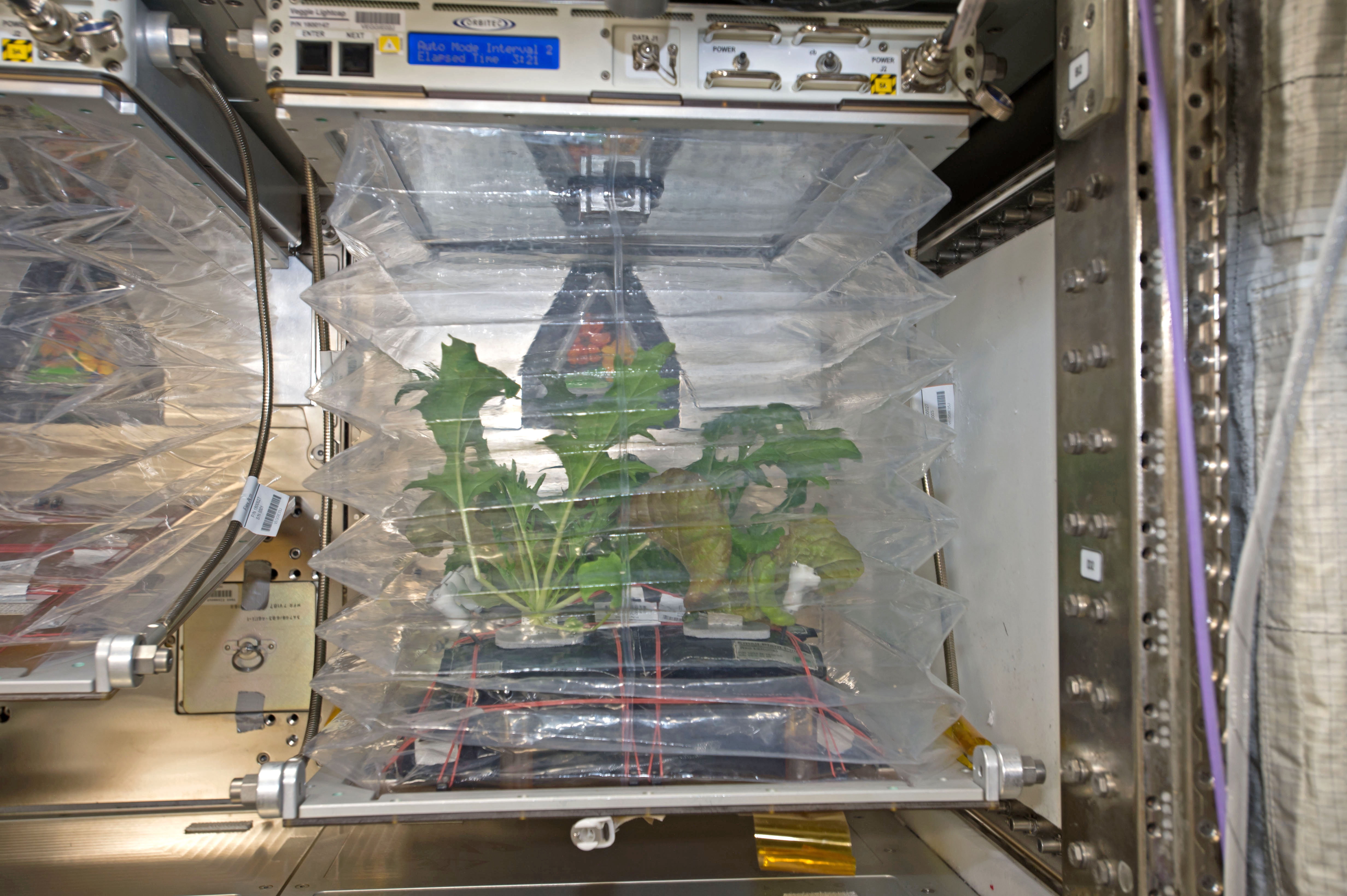 Space habitats and life support